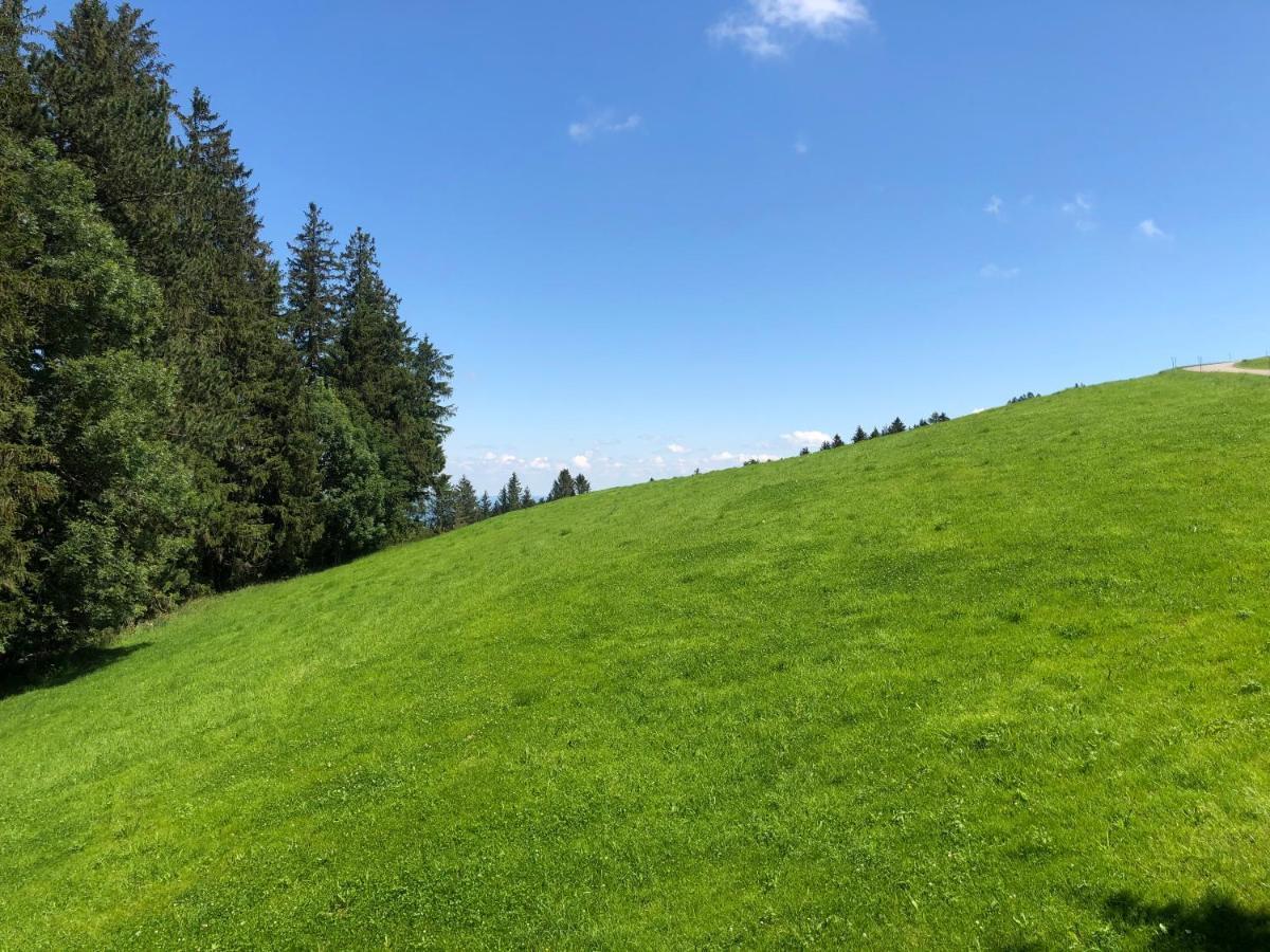 Hirschen Wald - Gasthaus & Baeckerei Εξωτερικό φωτογραφία