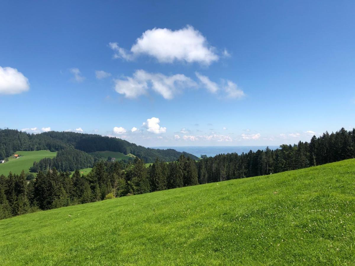 Hirschen Wald - Gasthaus & Baeckerei Εξωτερικό φωτογραφία