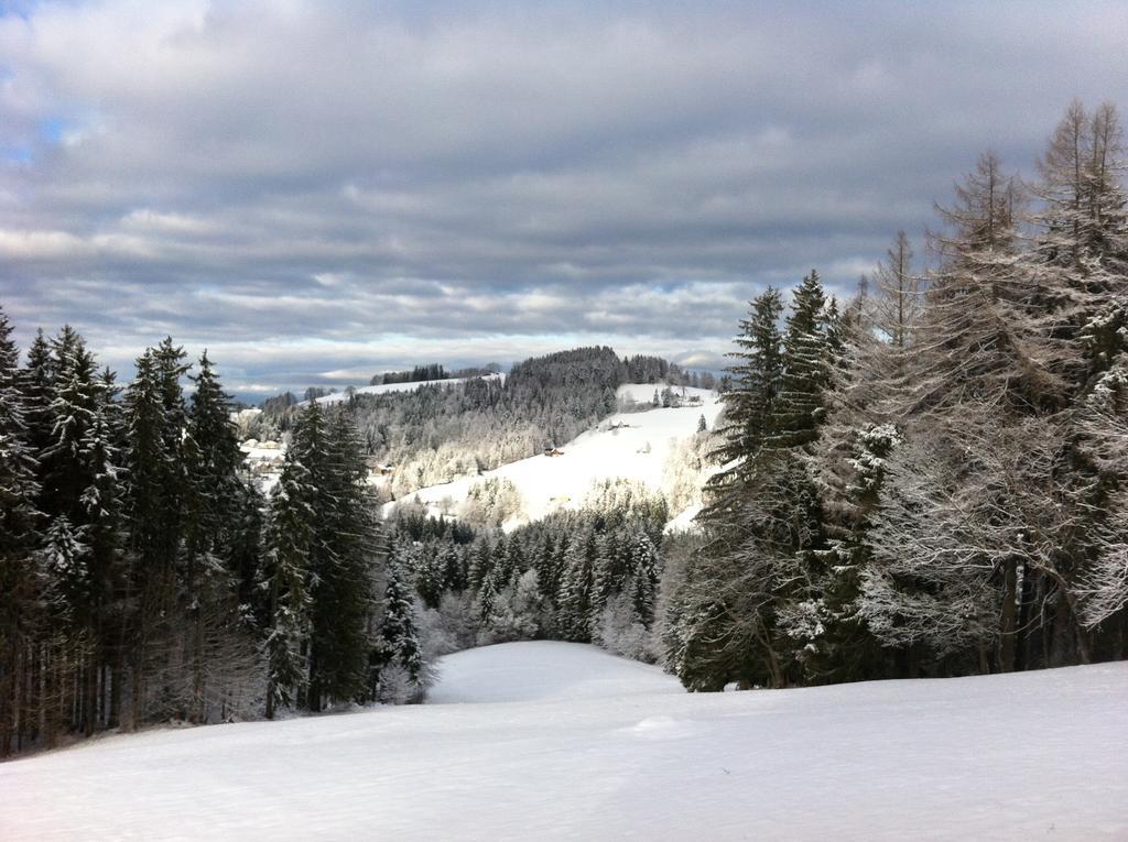 Hirschen Wald - Gasthaus & Baeckerei Εξωτερικό φωτογραφία