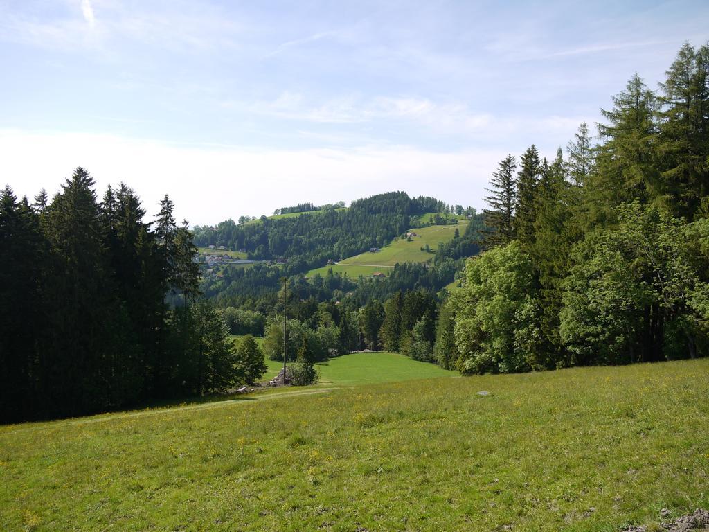 Hirschen Wald - Gasthaus & Baeckerei Εξωτερικό φωτογραφία